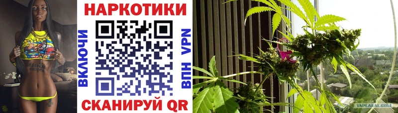 Продажа наркотиков Ставрополь КОКАИН  кракен рабочий сайт  Галлюциногенные грибы  Марихуана  Лсд 25  Амфетамин  ГАШ 