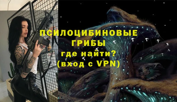 МДМА Богданович