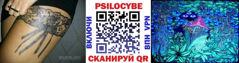 omg   Ставрополь  Галлюциногенные грибы Cubensis 