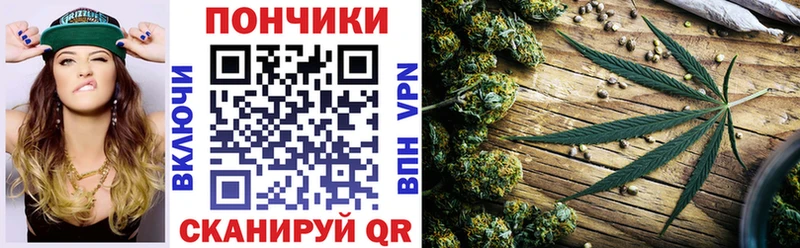 Бошки Шишки семена  Ставрополь 